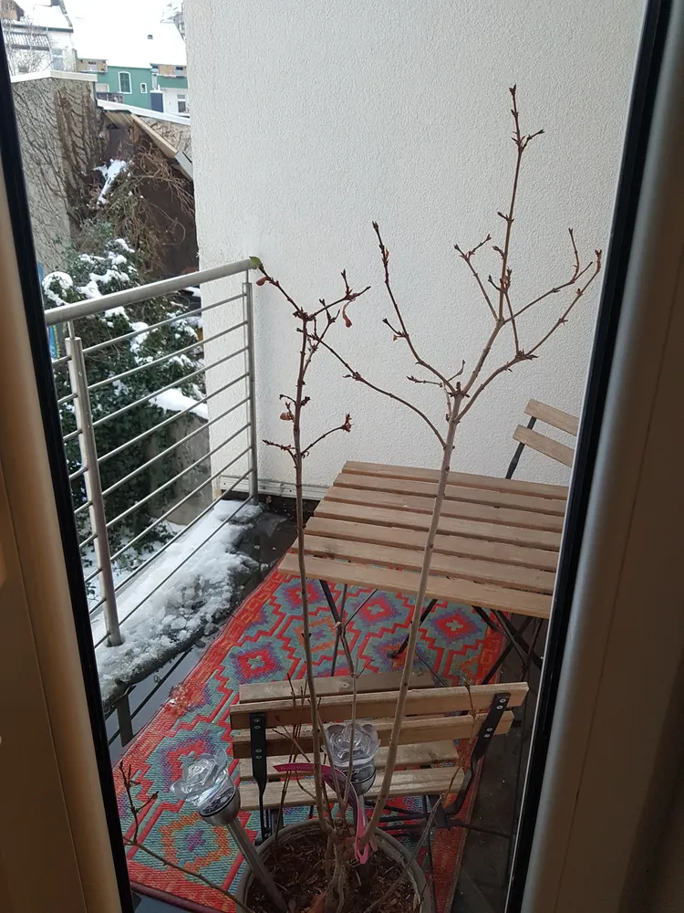 2 Zimmer Wohnung mit 35 m² in Dortmund – Bild 7