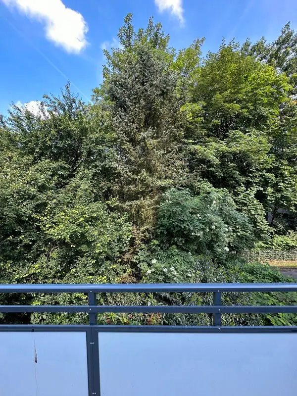 2 Zimmer Wohnung mit 59 m² in Wuppertal – Bild 9