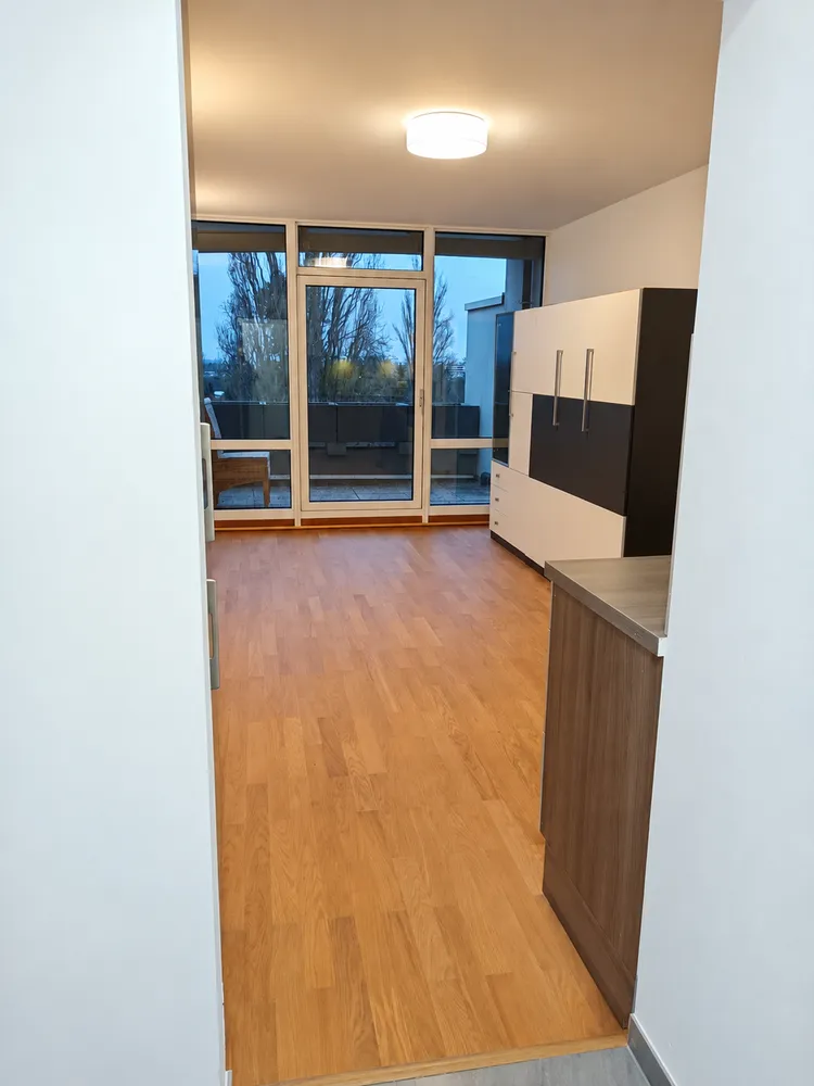 1 room apartment with 28 m² in Darmstadt – Photo 3
