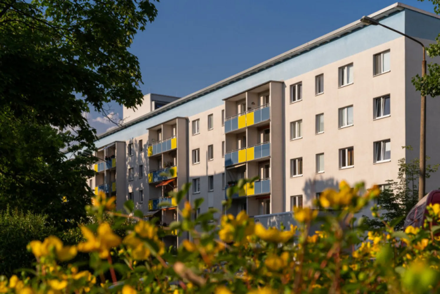 2 Zimmer Wohnung mit 49 m² in Halle (Saale) – Bild 4