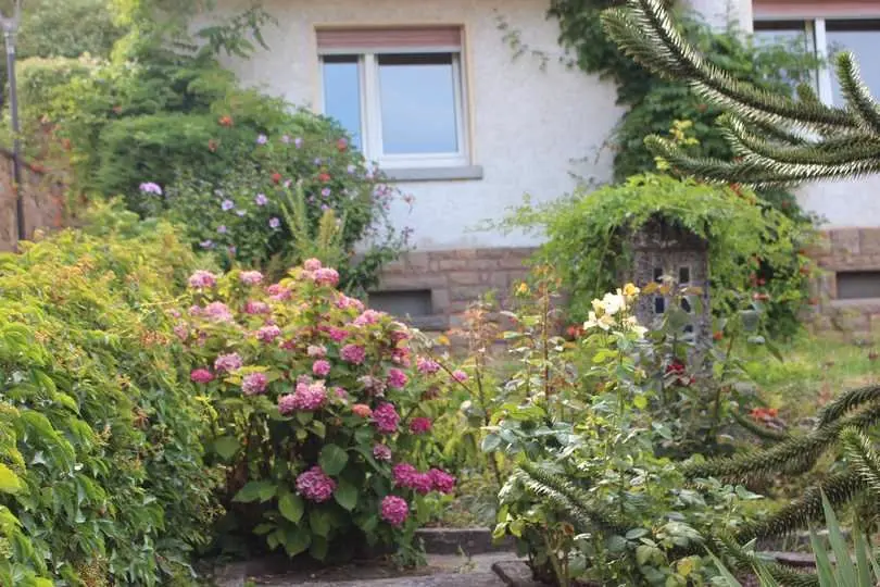 5 Zimmer Haus mit 120 m² in Mainz – Bild 5
