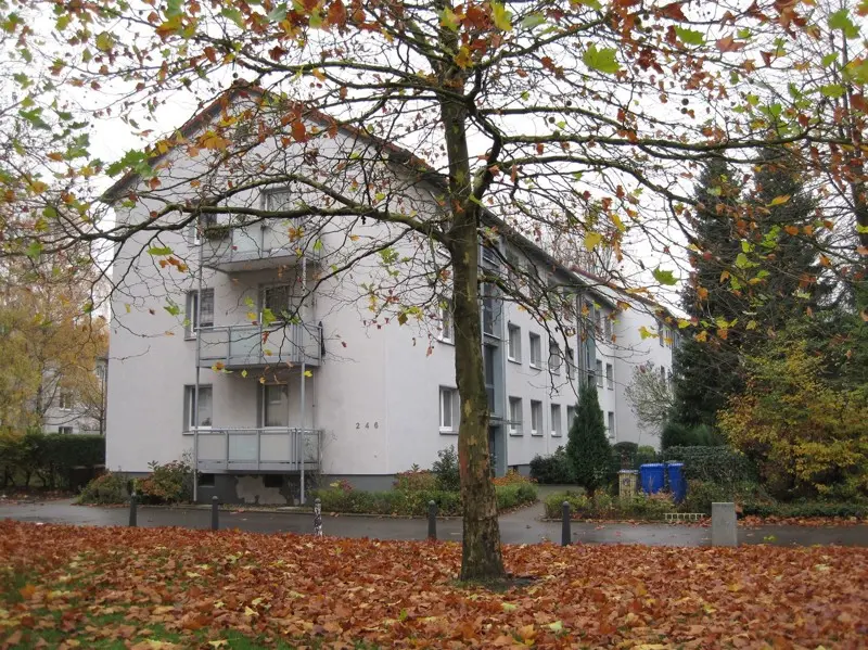 3 Zimmer Wohnung mit 53 m² in Gladbeck – Bild 3
