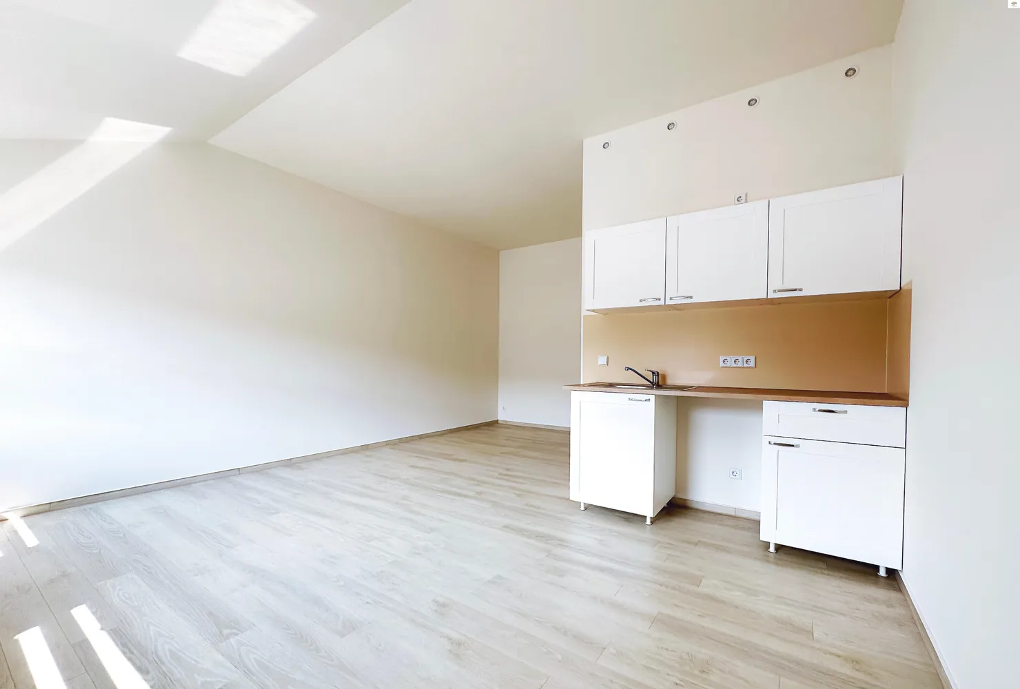 1 Zimmer Wohnung mit 30 m² in Dresden – Bild 4