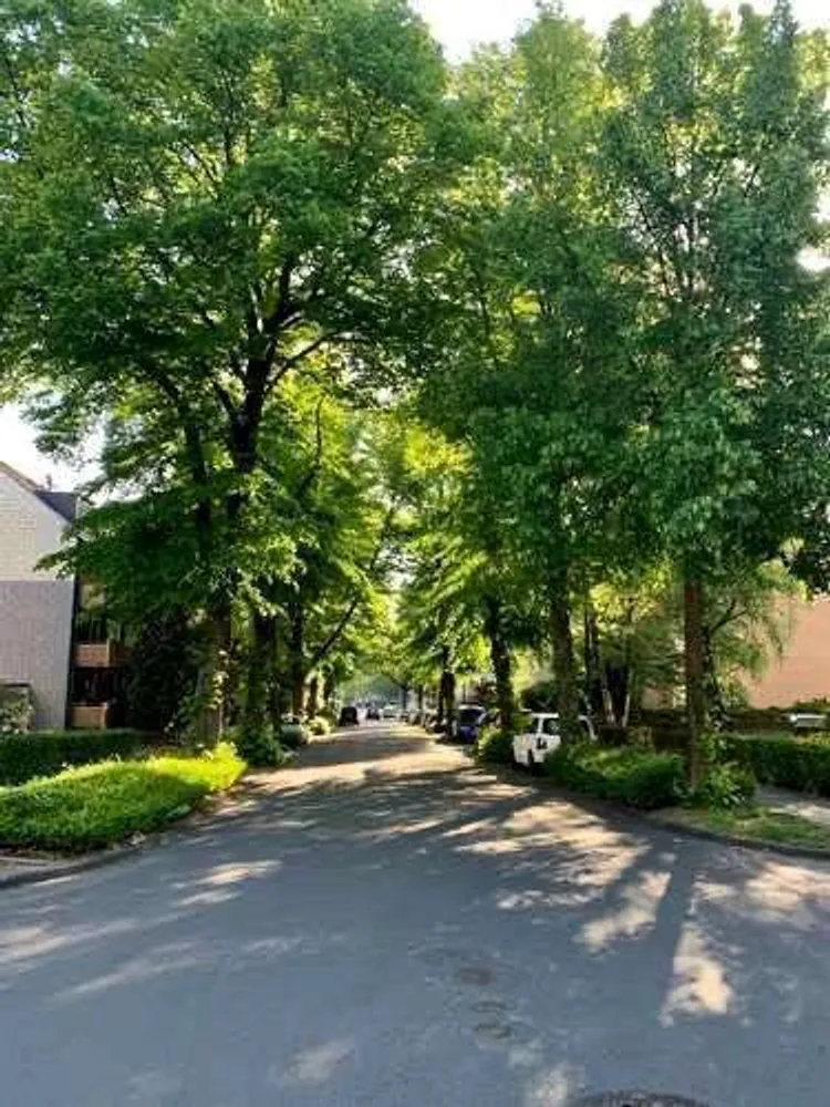 2 Zimmer Wohnung mit 51 m² in Essen – Bild 9