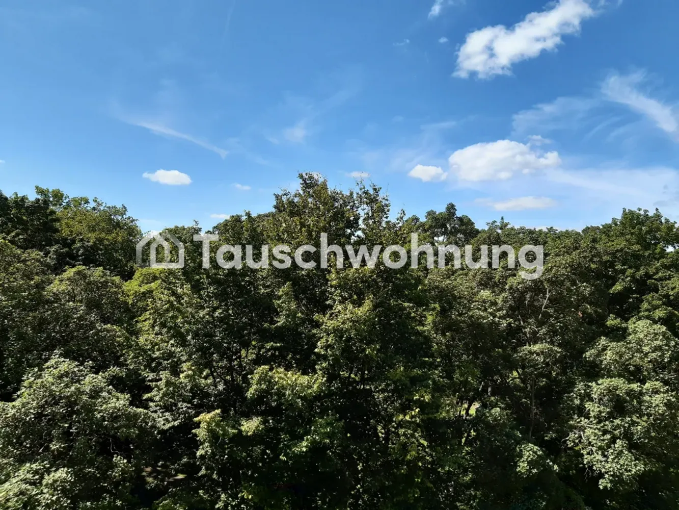 2 room apartment with 55 m² in Berlin – Photo 3