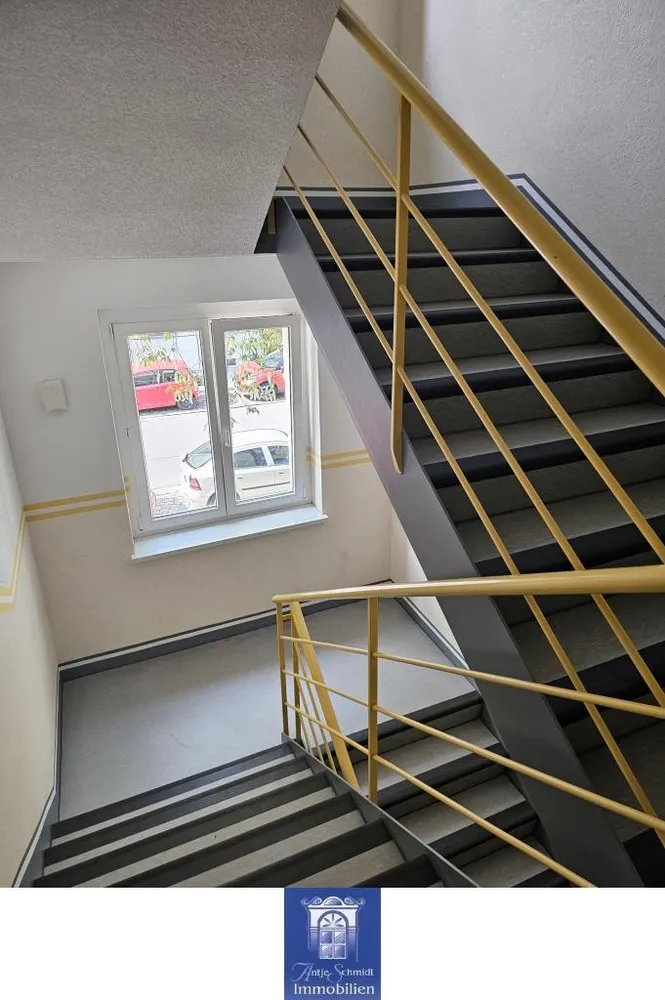 2 room apartment with 50 m² in Dresden – Photo 7