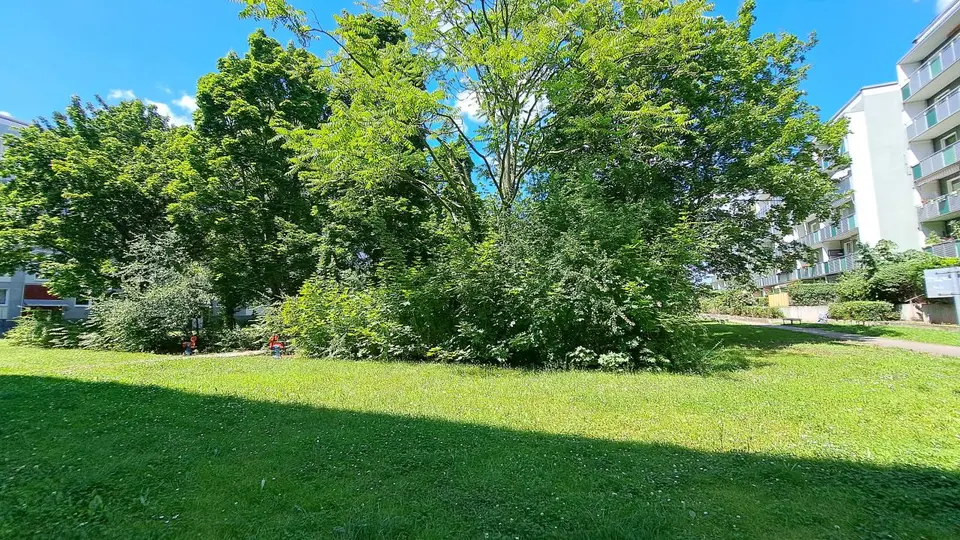 3 Zimmer Wohnung mit 70 m² in Magdeburg – Bild 7