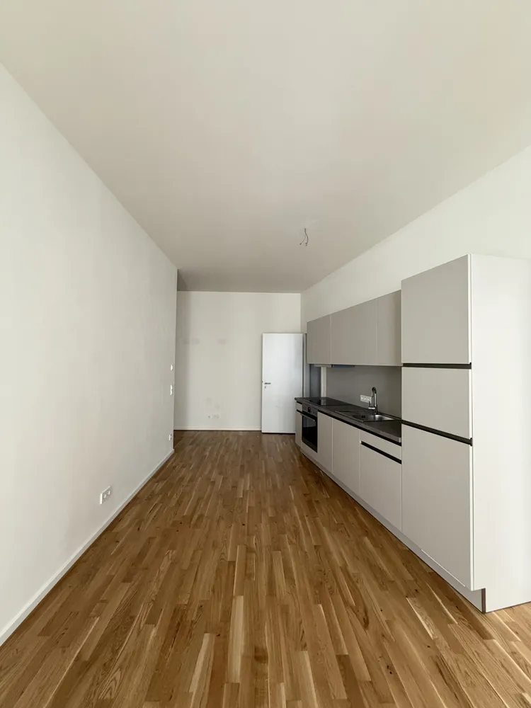 2 Zimmer Wohnung mit 54 m² in Dresden – Bild 2