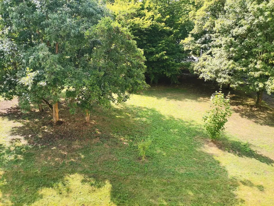 4 room apartment with 78 m² in Eisenach – Photo 10