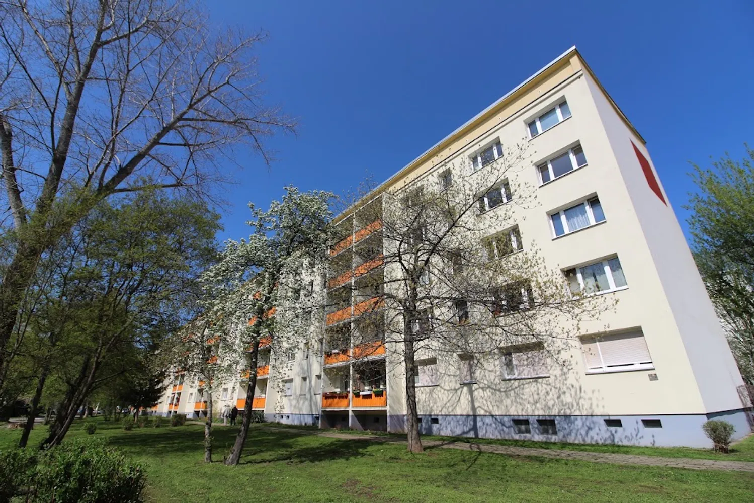 2 Zimmer Wohnung mit 42 m² in Halle (Saale) – Bild 3