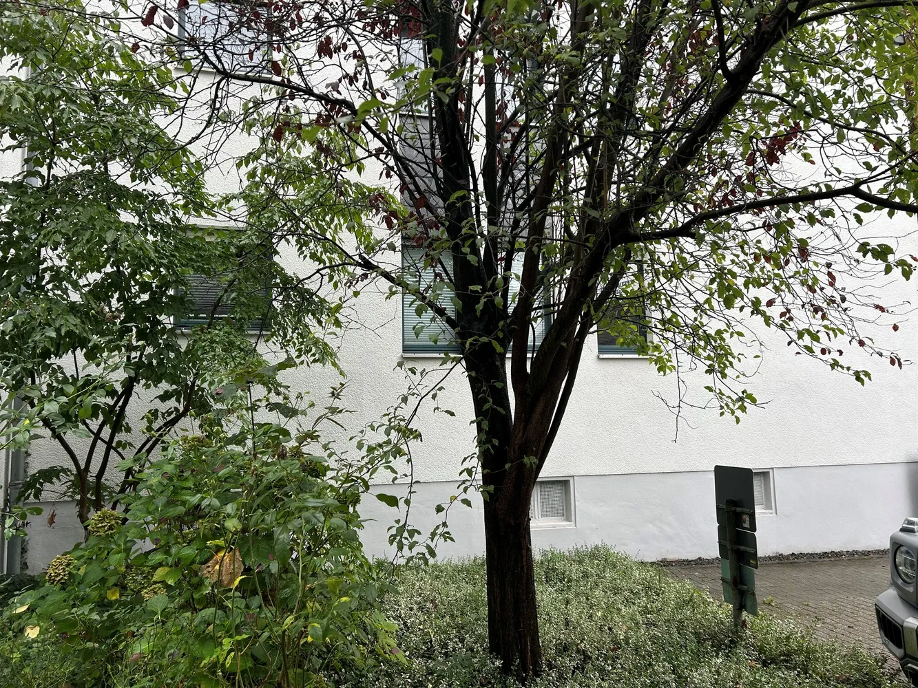 2 room apartment with 81 m² in Mülheim an der Ruhr – Photo 3