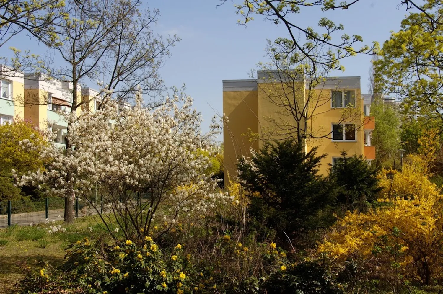 3 Zimmer Wohnung mit 81 m² in Berlin – Bild 2