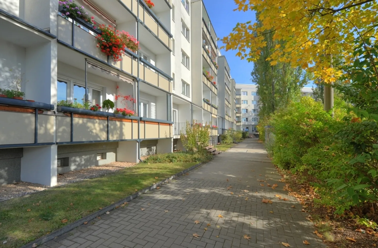 3 Zimmer Wohnung mit 61 m² in Halle (Saale) – Bild 1