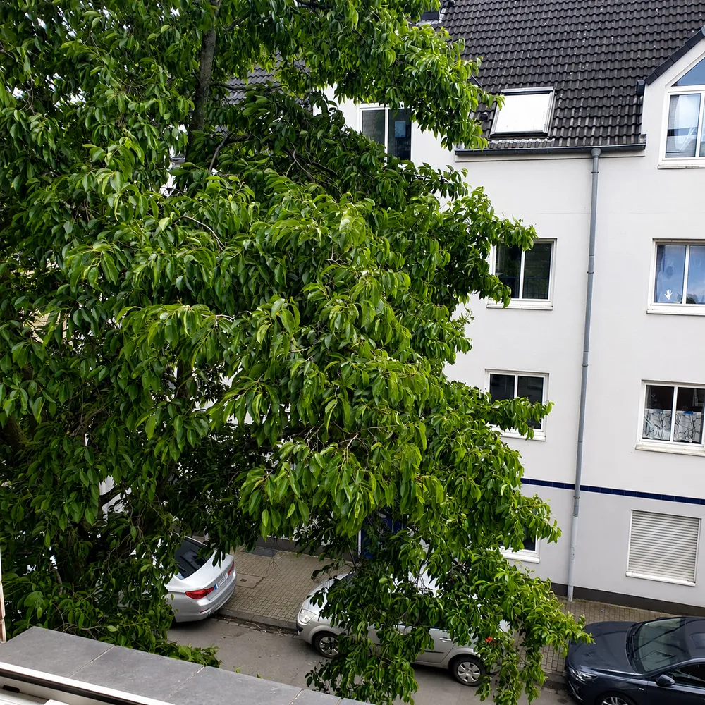 3 Zimmer Wohnung mit 86 m² in Duisburg – Bild 7
