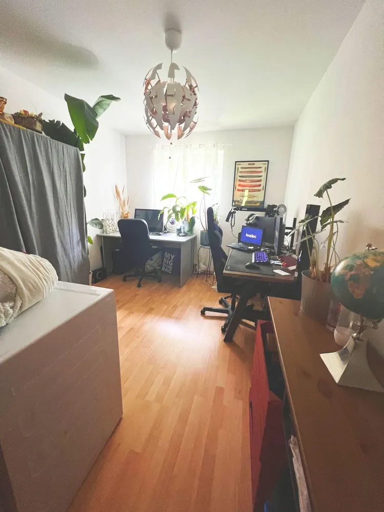 3 room apartment with 82 m² in Chemnitz – Photo 8