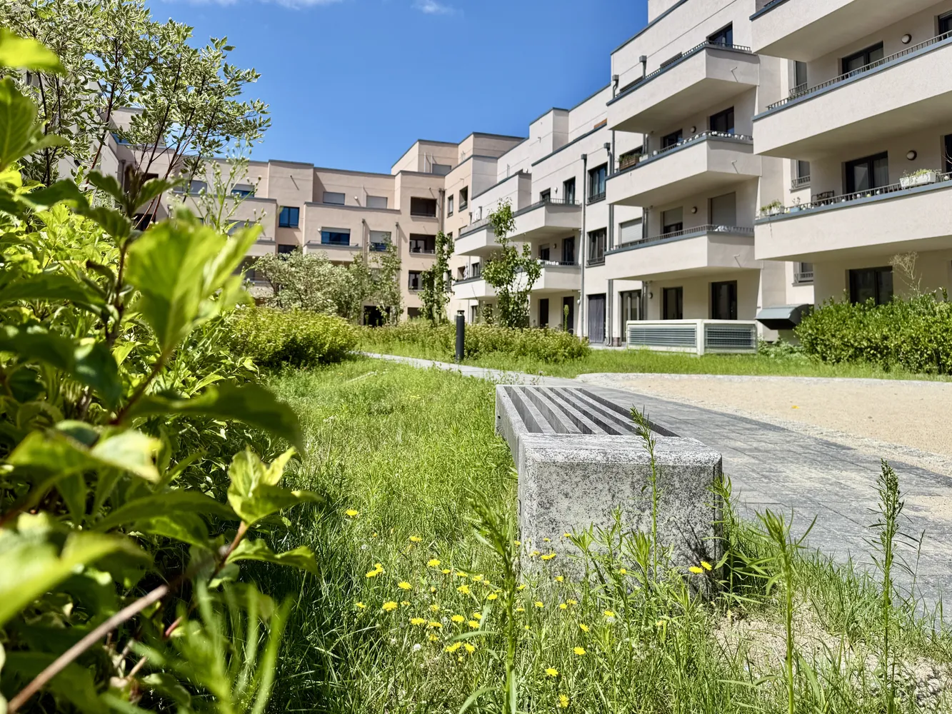 4 Zimmer Wohnung mit 94 m² in Berlin – Bild 4