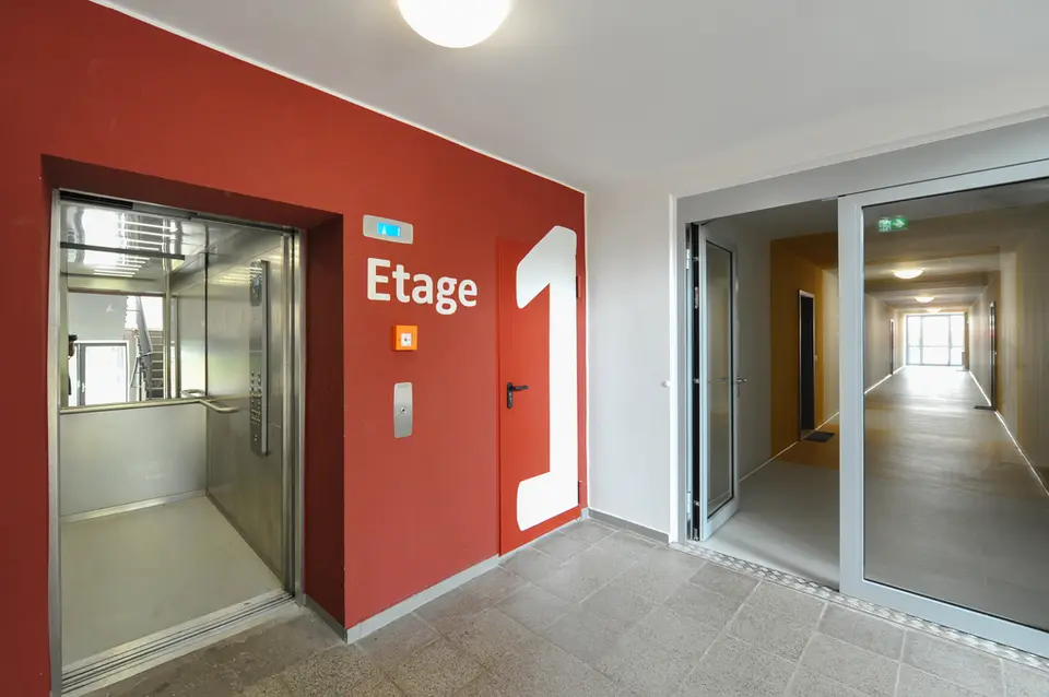 Studio mit 30 m² in Halle (Saale) – Bild 5