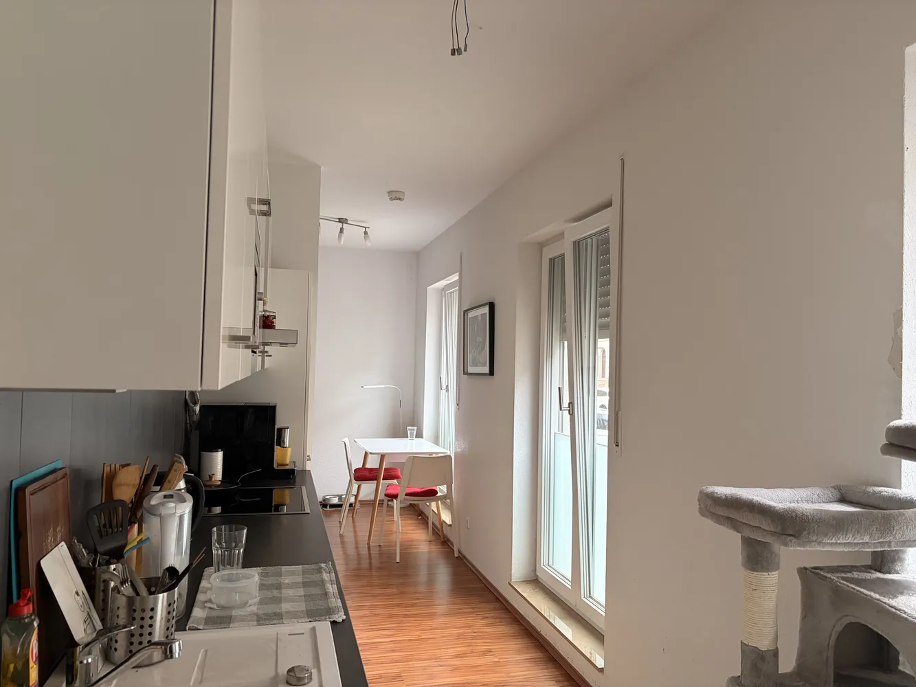 2 Zimmer Wohnung mit 50 m² in Dresden – Bild 1