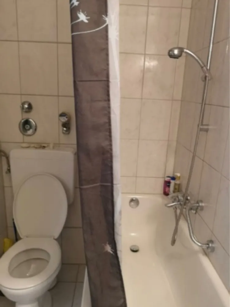 1 Zimmer Wohnung mit 32 m² in Zwickau – Bild 2