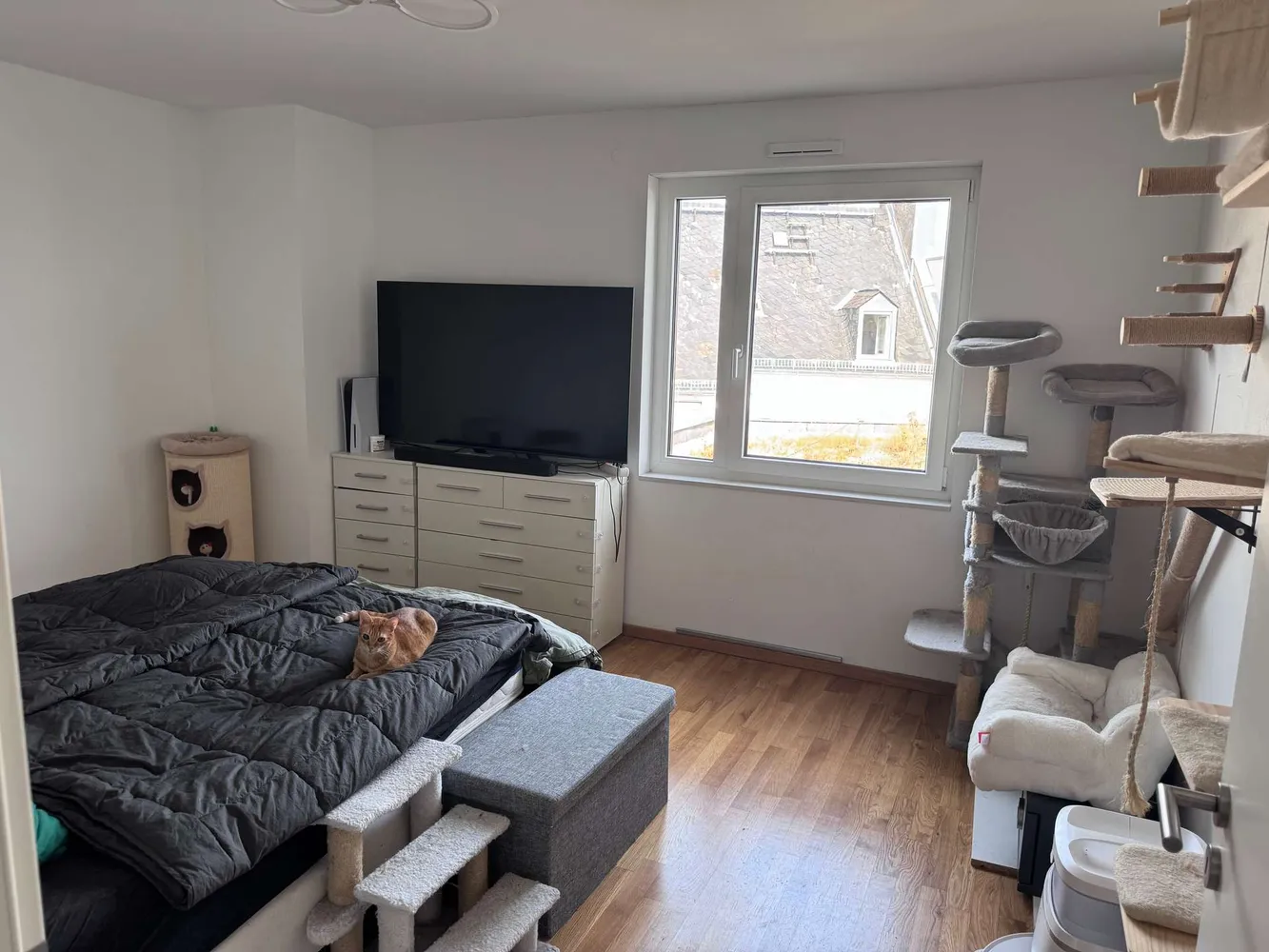 3 Zimmer Wohnung mit 96 m² in Wiesbaden – Bild 5
