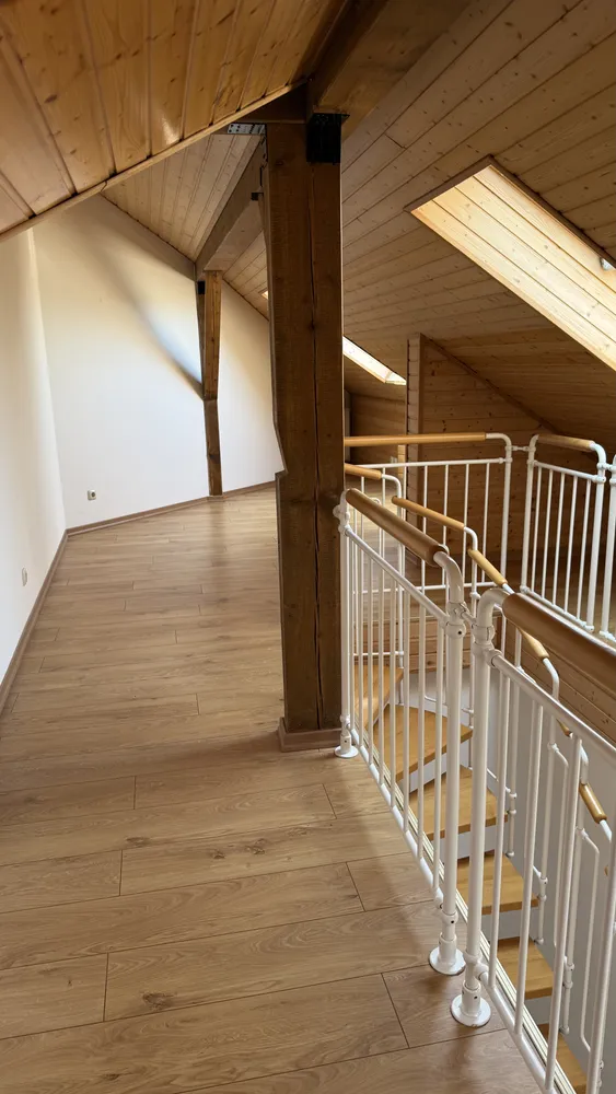 2 room apartment with 52 m² in Dresden – Photo 10