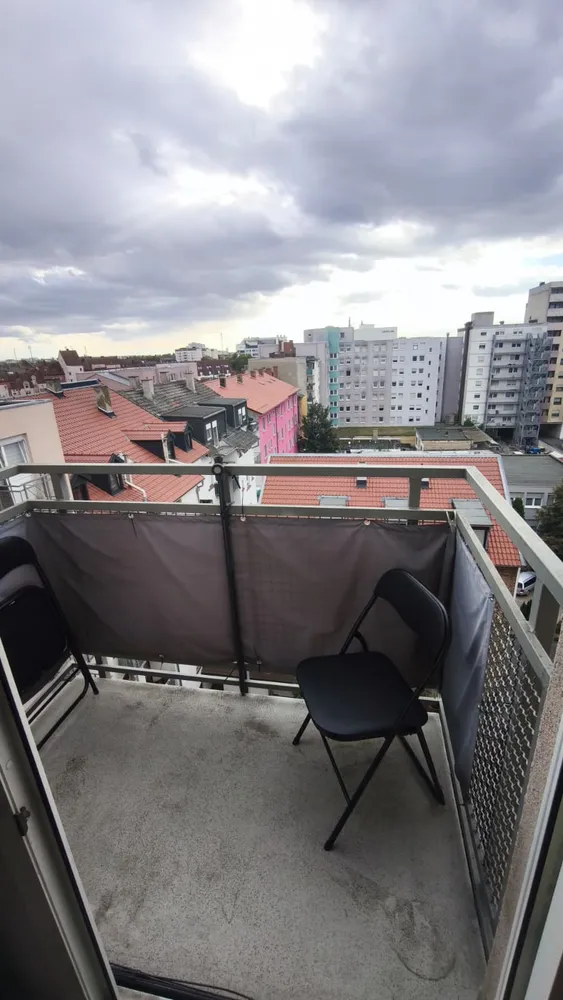 1 Zimmer Wohnung mit 20 m² in Ludwigshafen am Rhein – Bild 5