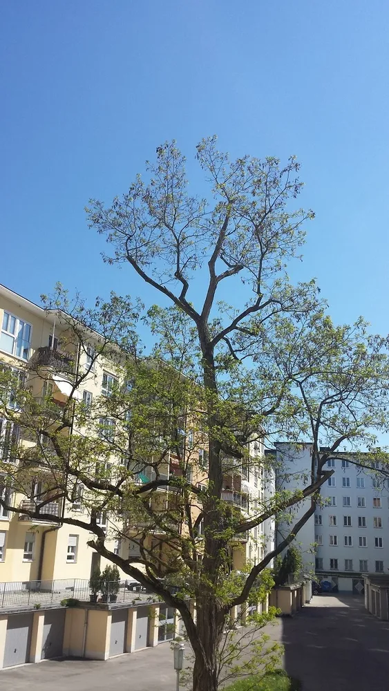 1 Zimmer Wohnung mit 30 m² in München – Bild 9