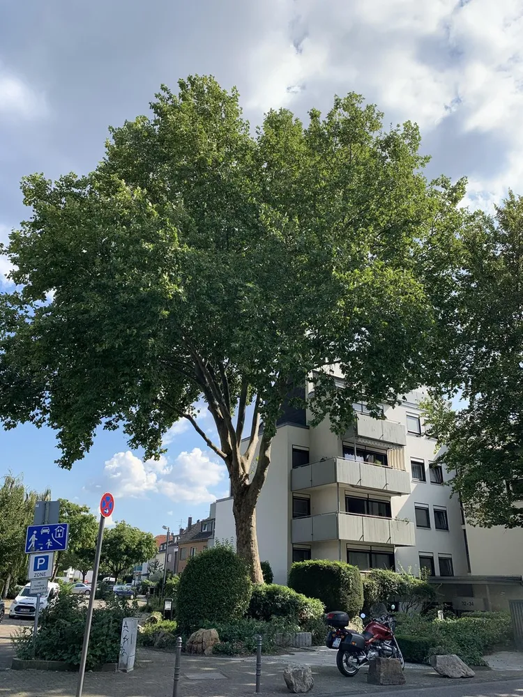 3 Zimmer Wohnung mit 92 m² in Köln – Bild 2