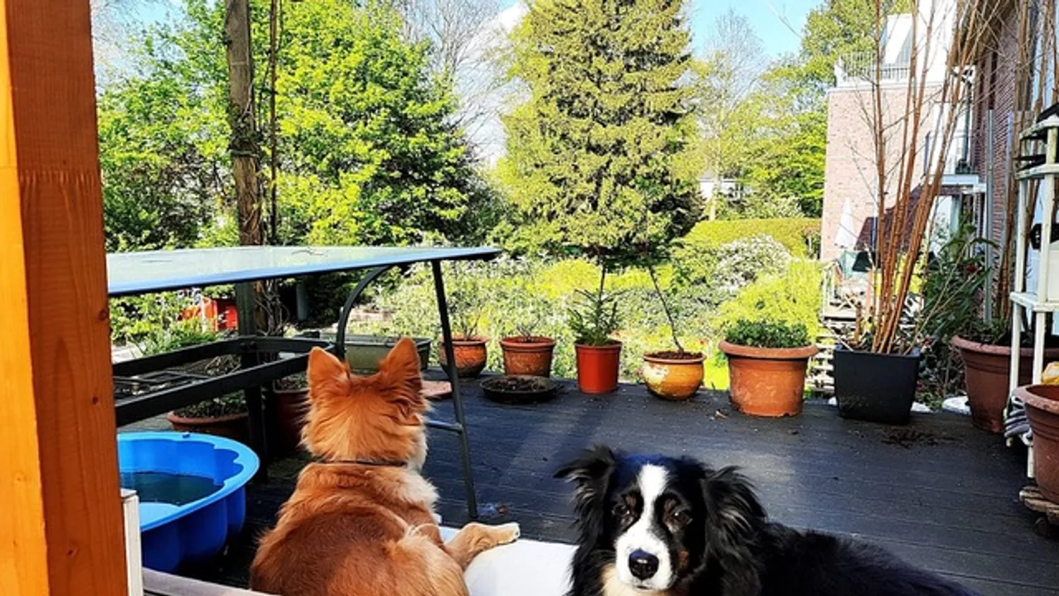 4 Zimmer Wohnung mit 105 m² in Hamburg – Bild 10