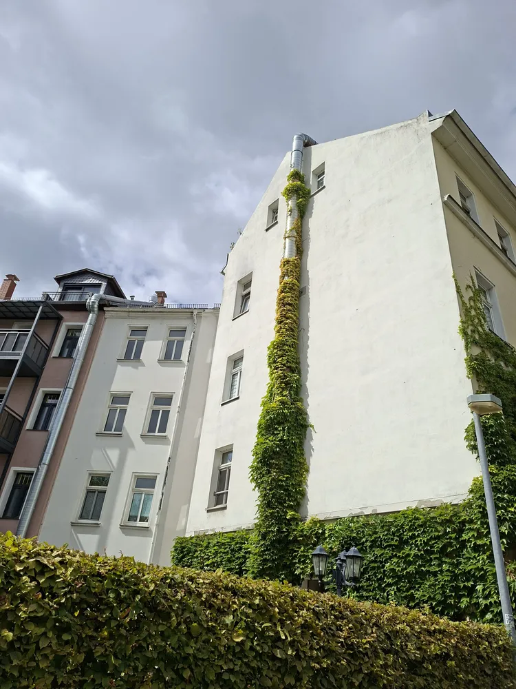 3 Zimmer Wohnung mit 72 m² in Leipzig – Bild 4