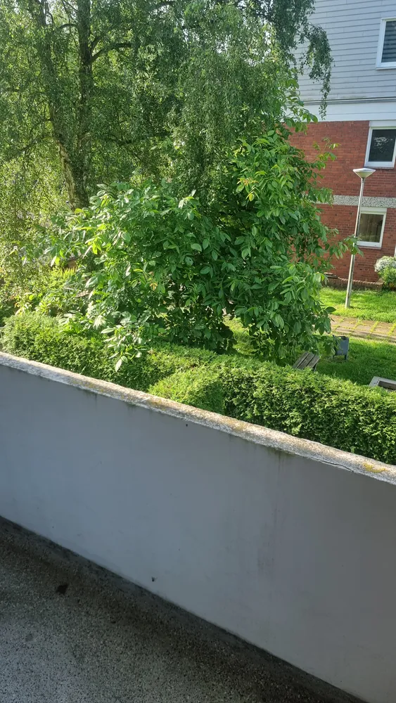 1 Zimmer Wohnung mit 35 m² in Hamburg – Bild 11