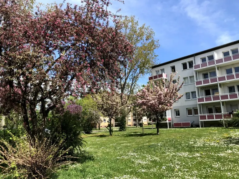 3 Zimmer Wohnung mit 60 m² in Merseburg – Bild 5