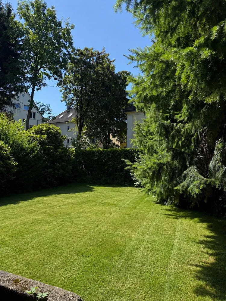 3 Zimmer Wohnung mit 93 m² in Solingen – Bild 2