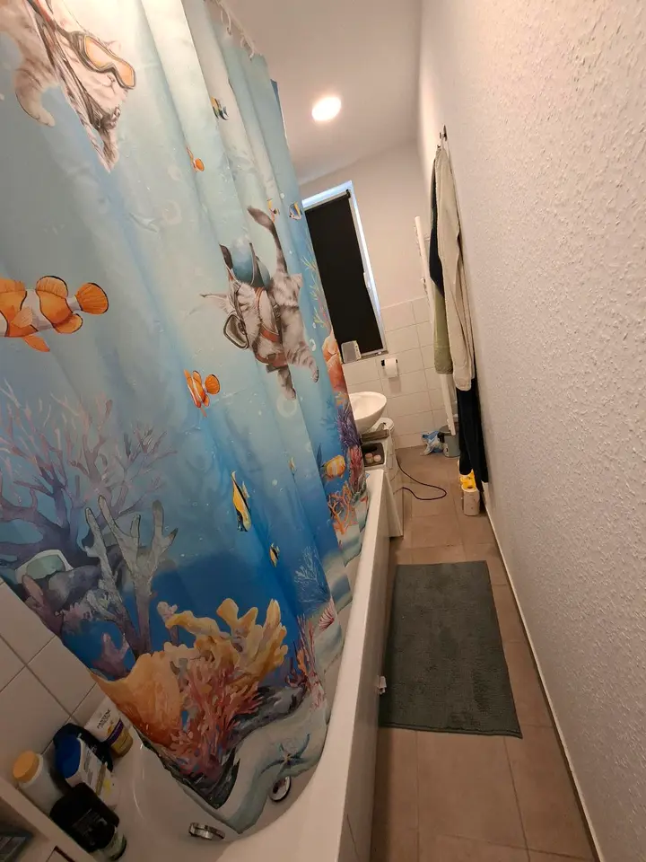 2 room apartment with 49 m² in Chemnitz – Photo 3