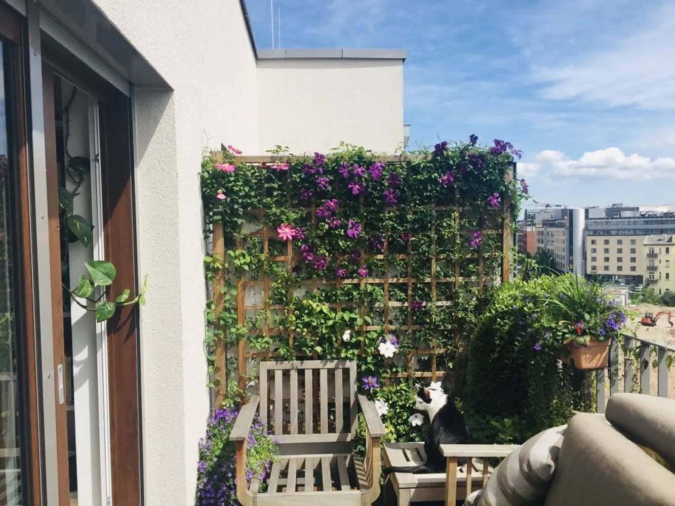 4 Zimmer Wohnung mit 200 m² in Frankfurt am Main – Bild 5