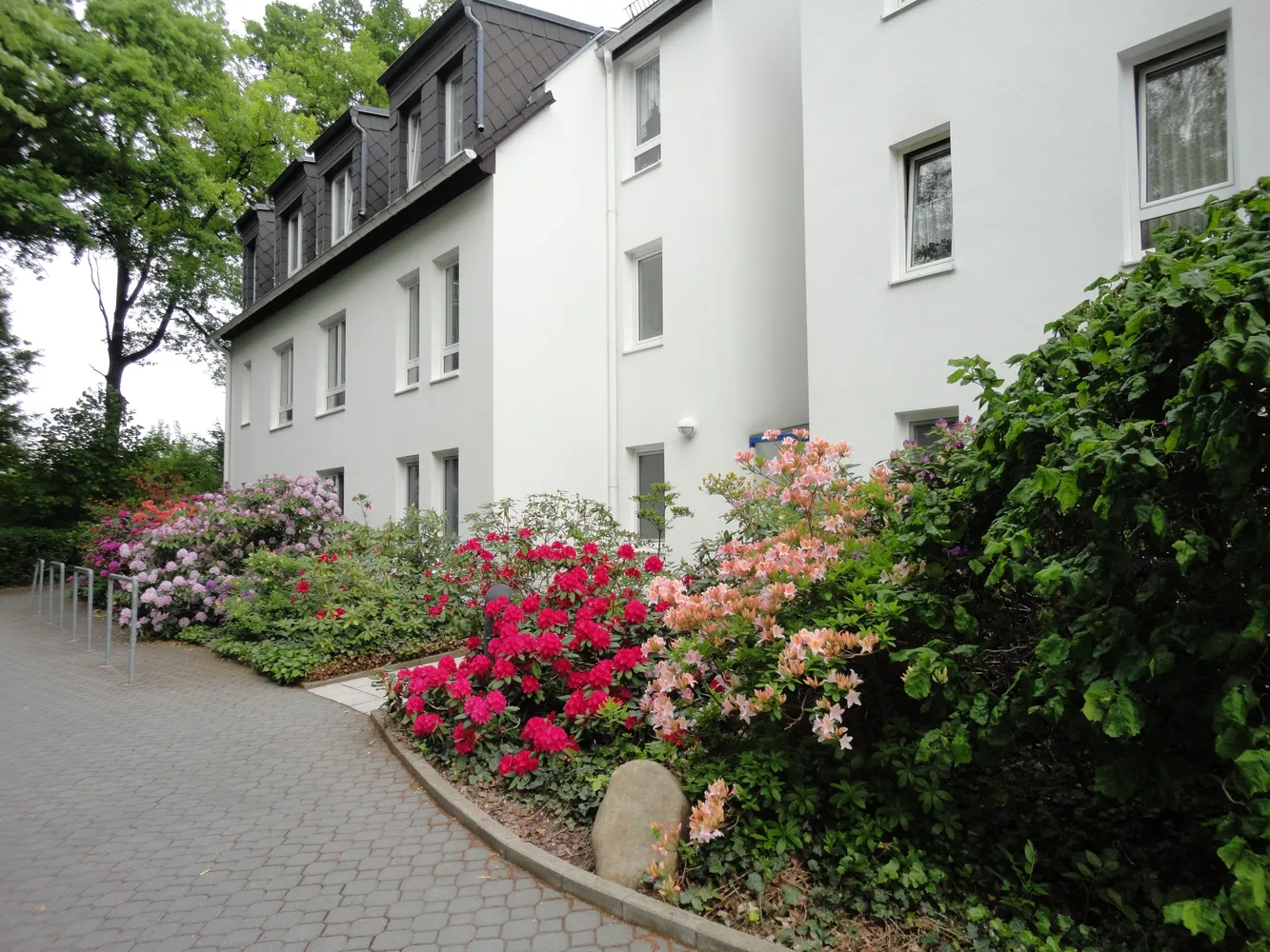 4 room apartment with 87 m² in Zwickau – Photo 1