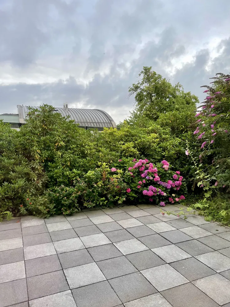 4 Zimmer Wohnung mit 95 m² in Aachen – Bild 2