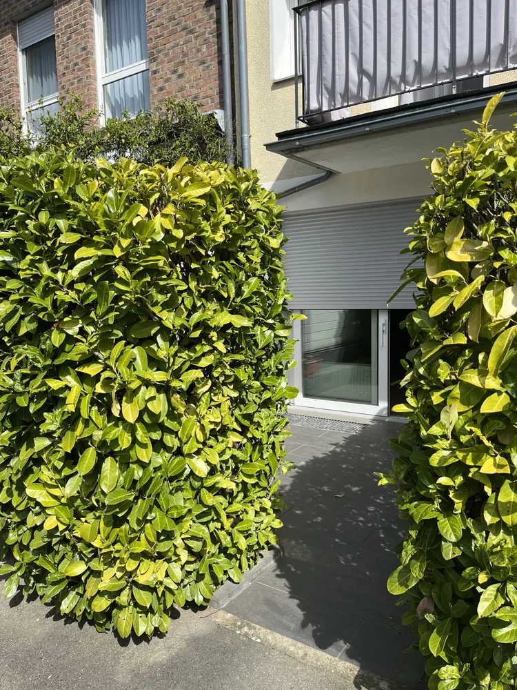 2 Zimmer Wohnung mit 38 m² in Aachen – Bild 1