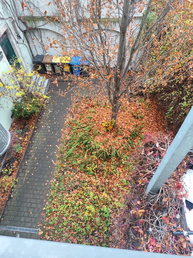 1 Zimmer Wohnung mit 46 m² in Dresden – Bild 8