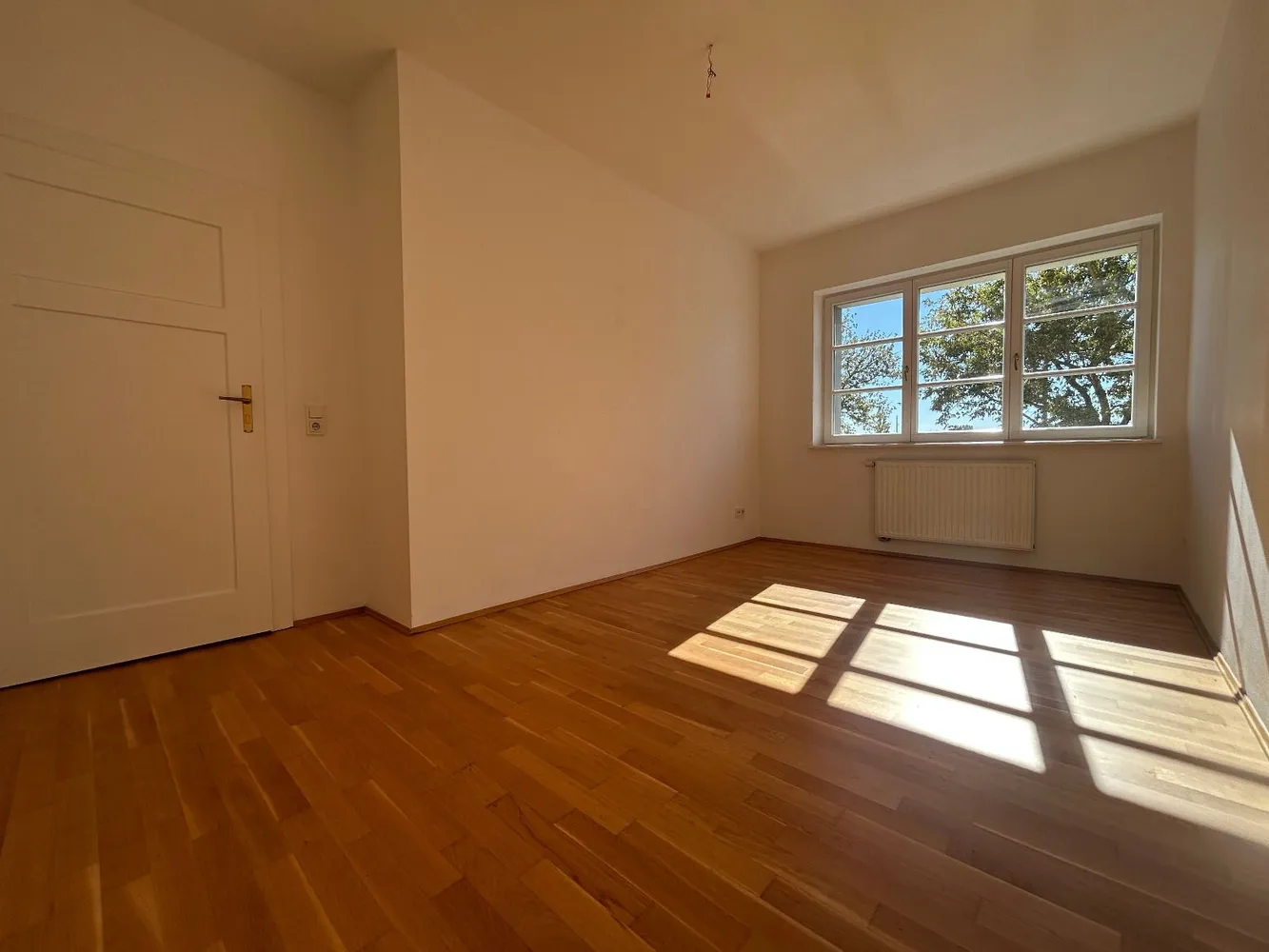 2 room apartment with 57 m² in Dresden – Photo 12
