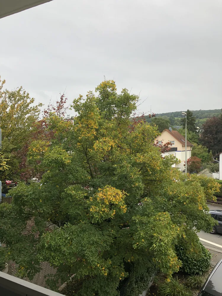 3 Zimmer Wohnung mit 80 m² in Hofheim am Taunus – Bild 2