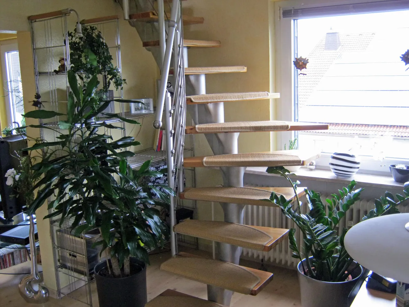 3 Zimmer Wohnung mit 85 m² in Wuppertal – Bild 3