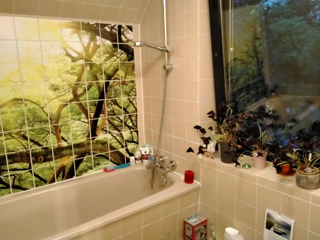 2 Zimmer Wohnung mit 45 m² in Wiesbaden – Bild 6