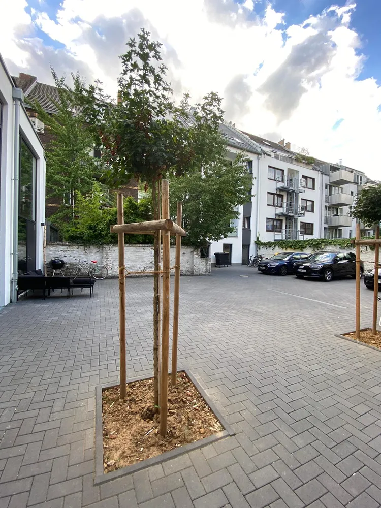 1 Zimmer Wohnung mit 48 m² in Köln – Bild 11