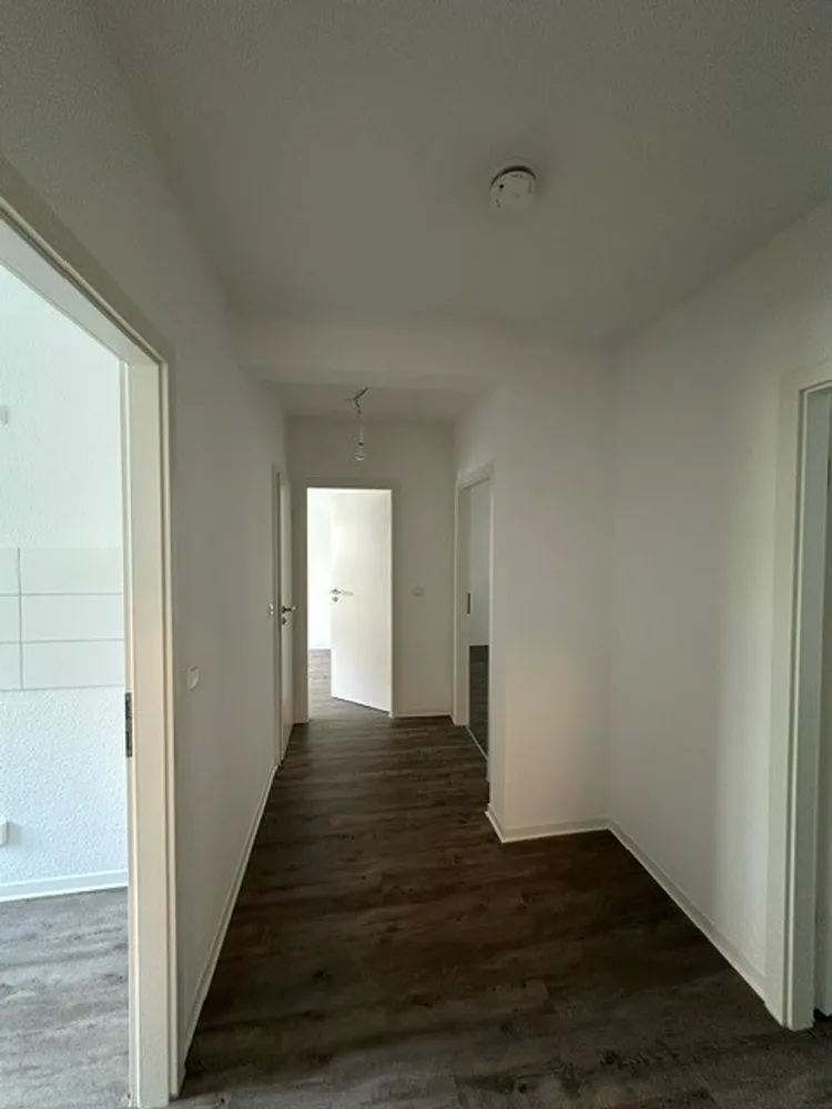 3 room apartment with 63 m² in Dresden – Photo 8