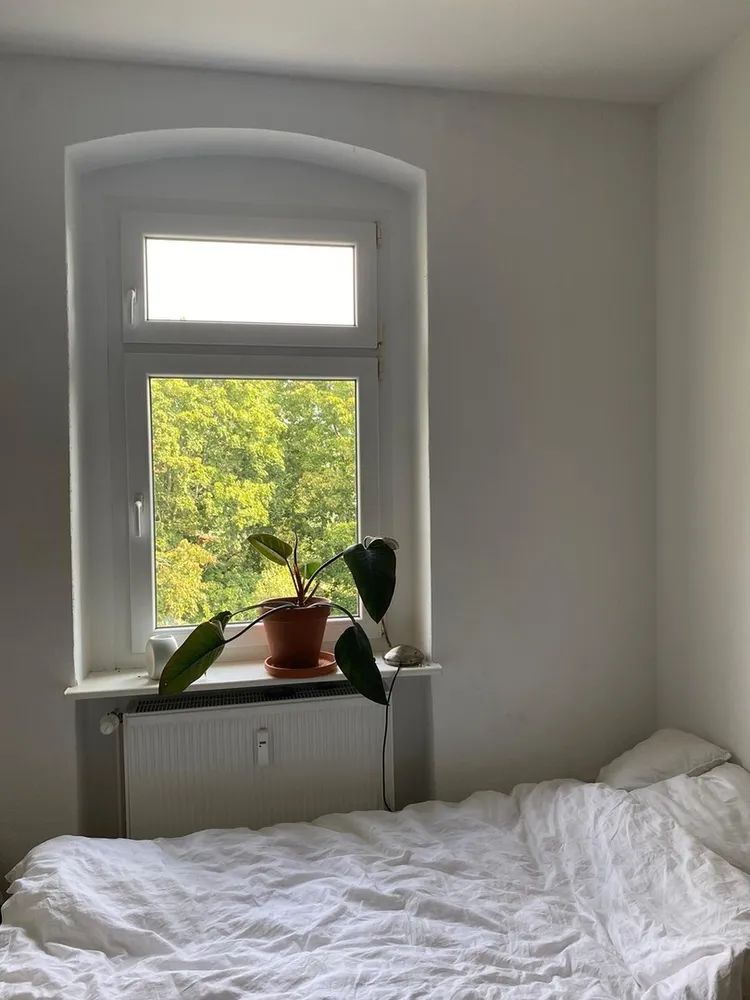 2 Zimmer Wohnung mit 46 m² in Potsdam – Bild 2