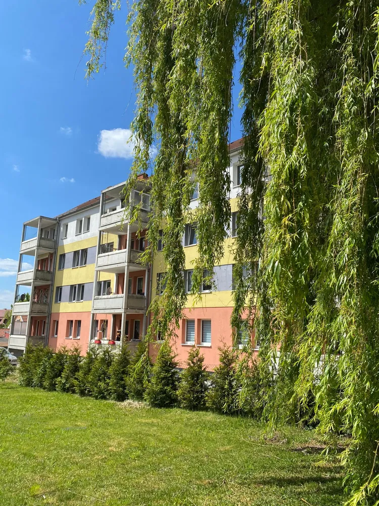2 room apartment with 45 m² in Mühlhausen – Photo 4