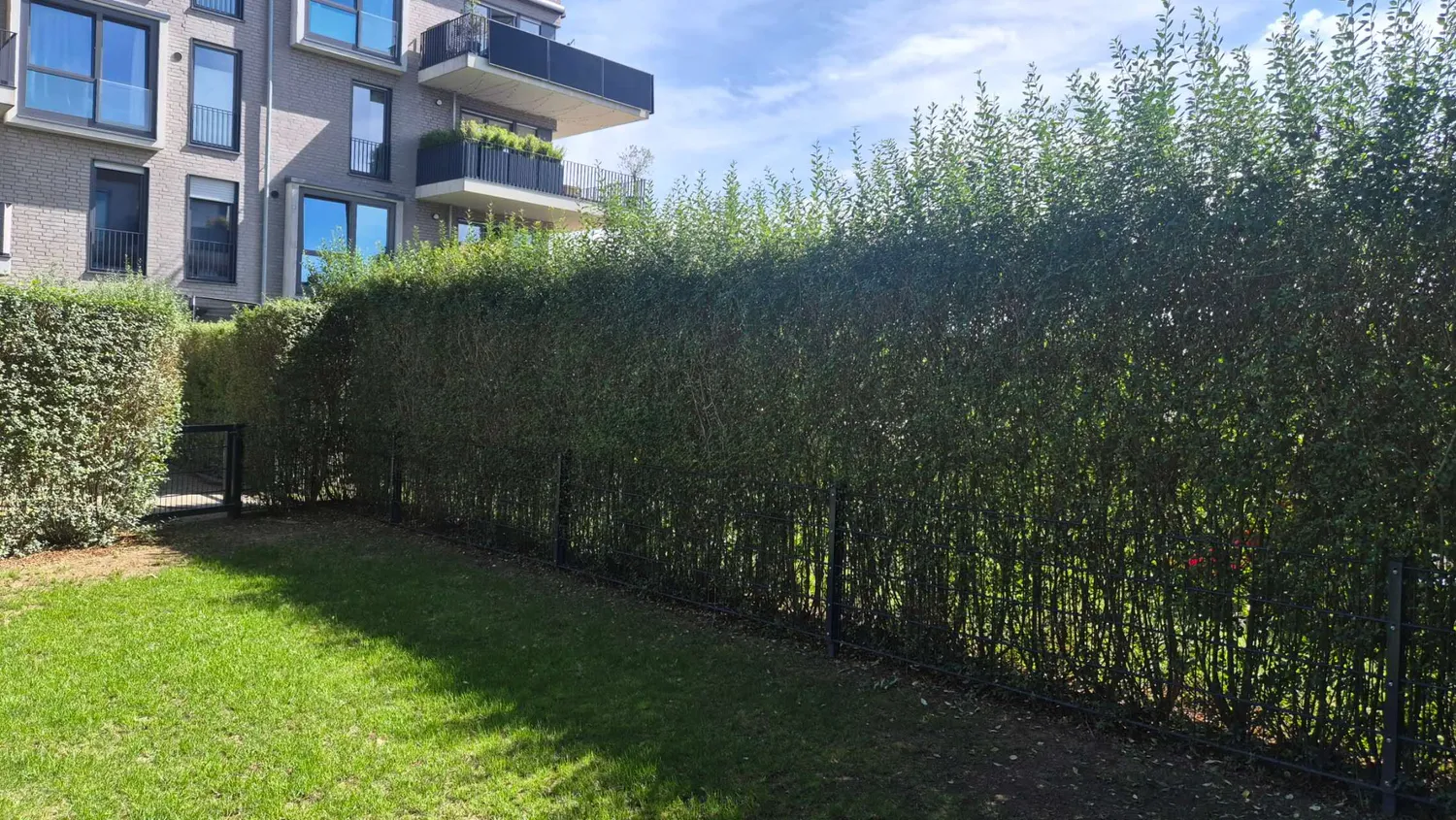 3 Zimmer Wohnung mit 94 m² in Düsseldorf – Bild 4