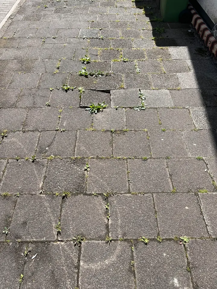 3 Zimmer Wohnung mit 100 m² in Saarbrücken – Bild 10