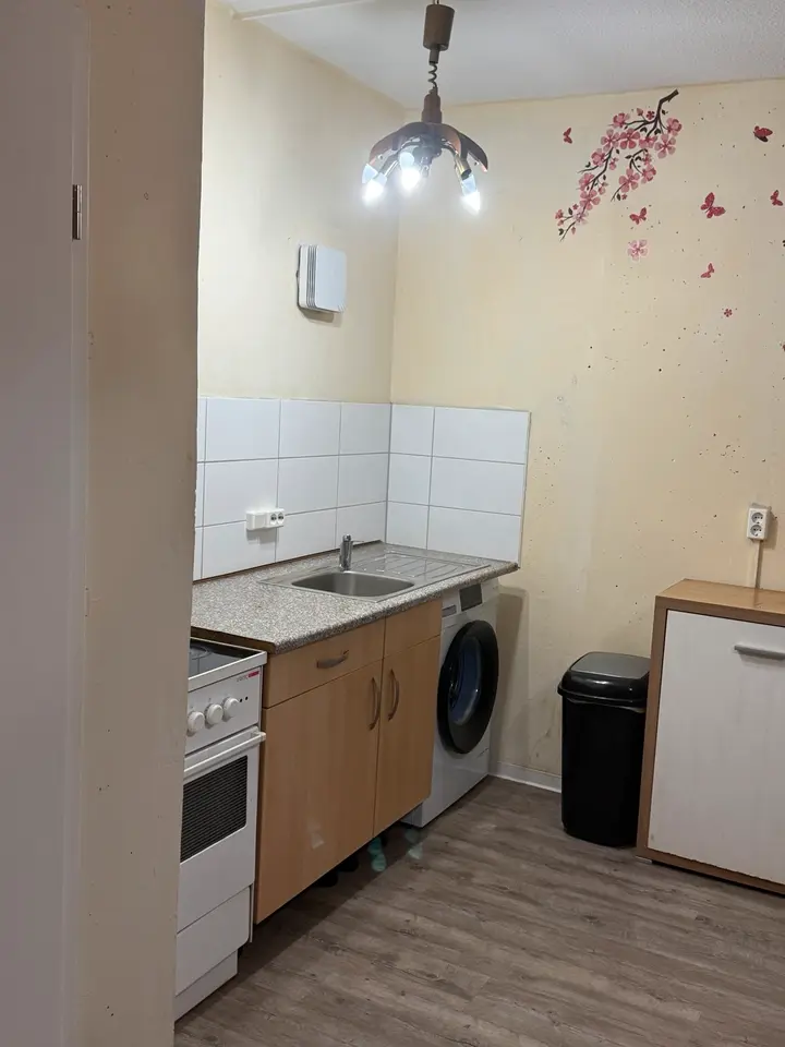 2 room house with 39 m² in Freital – Photo 10